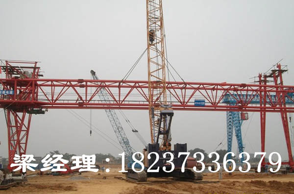 浙江杭州龙门吊销售厂家分析起重机吊车事故原