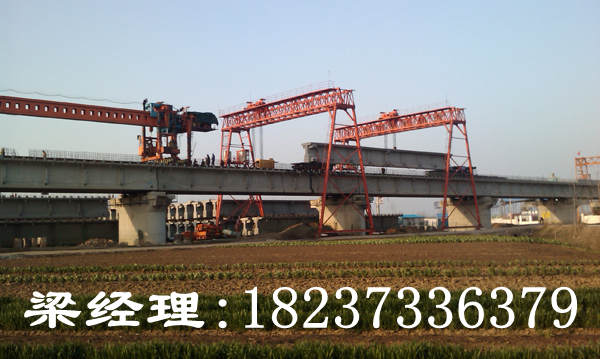 广西南宁龙门吊销售厂家介绍龙门吊的选用