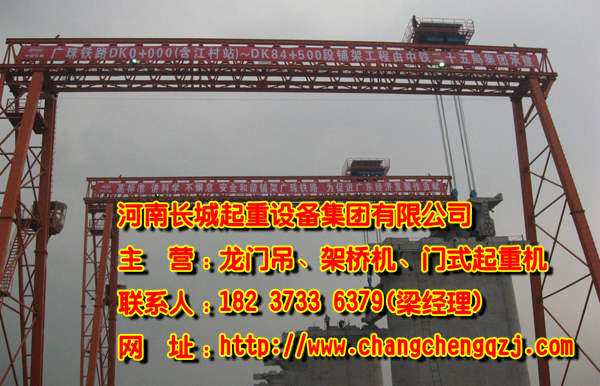 四川德阳龙门吊