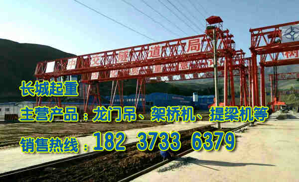 陕西铜川龙门吊公司