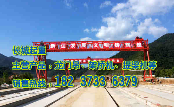 山东潍坊龙门吊公司生产工艺精湛
