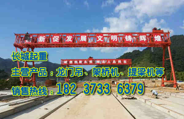 广西贺州门式起重机厂家型号全价位低