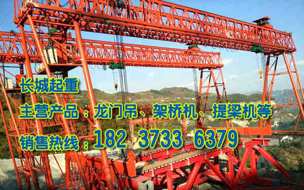 河北沧州龙门吊厂家安全保护系统