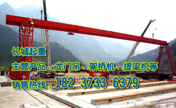 福建厦门门式起重机厂家满足不同个性需求