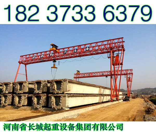 广东广州龙门吊厂家合作服务满意