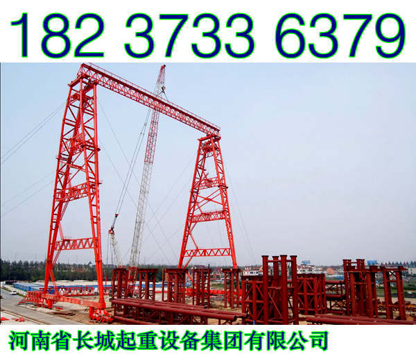 浙江丽水龙门吊厂家提供优质起重机械