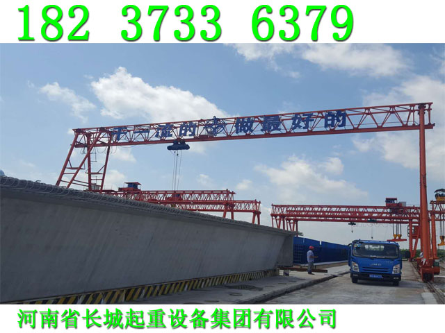 甘肃武威龙门吊厂家起重工业园区